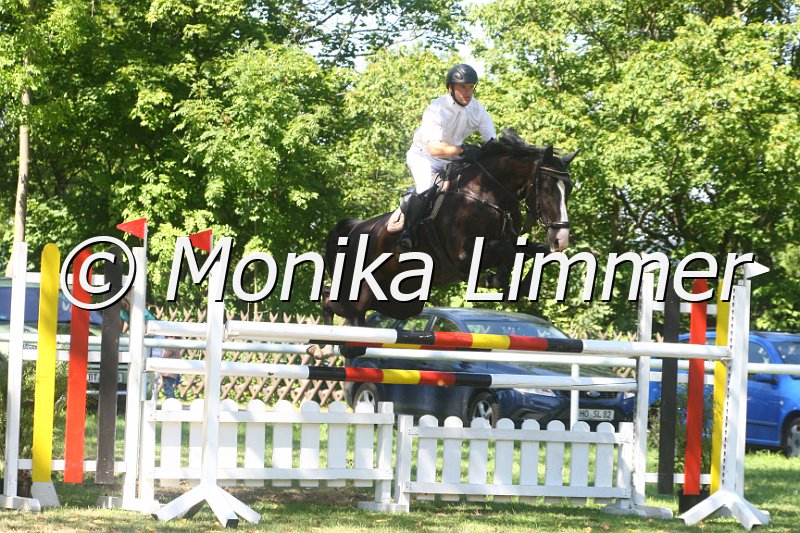 308M1934_Whats Up_Spring Mxx.JPG